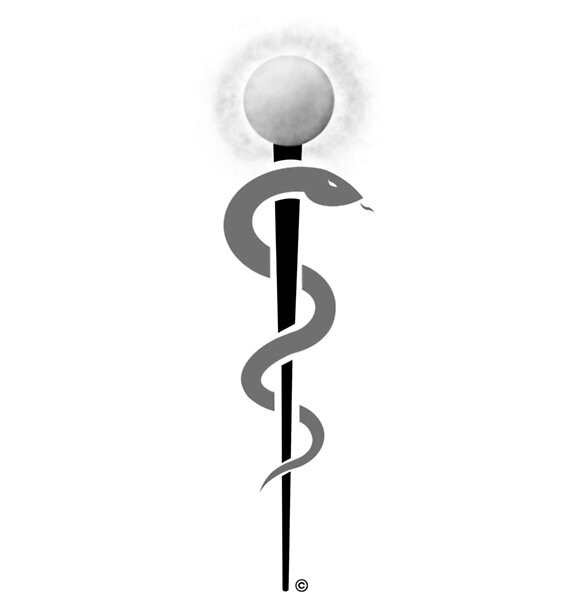 Vizzi Logo